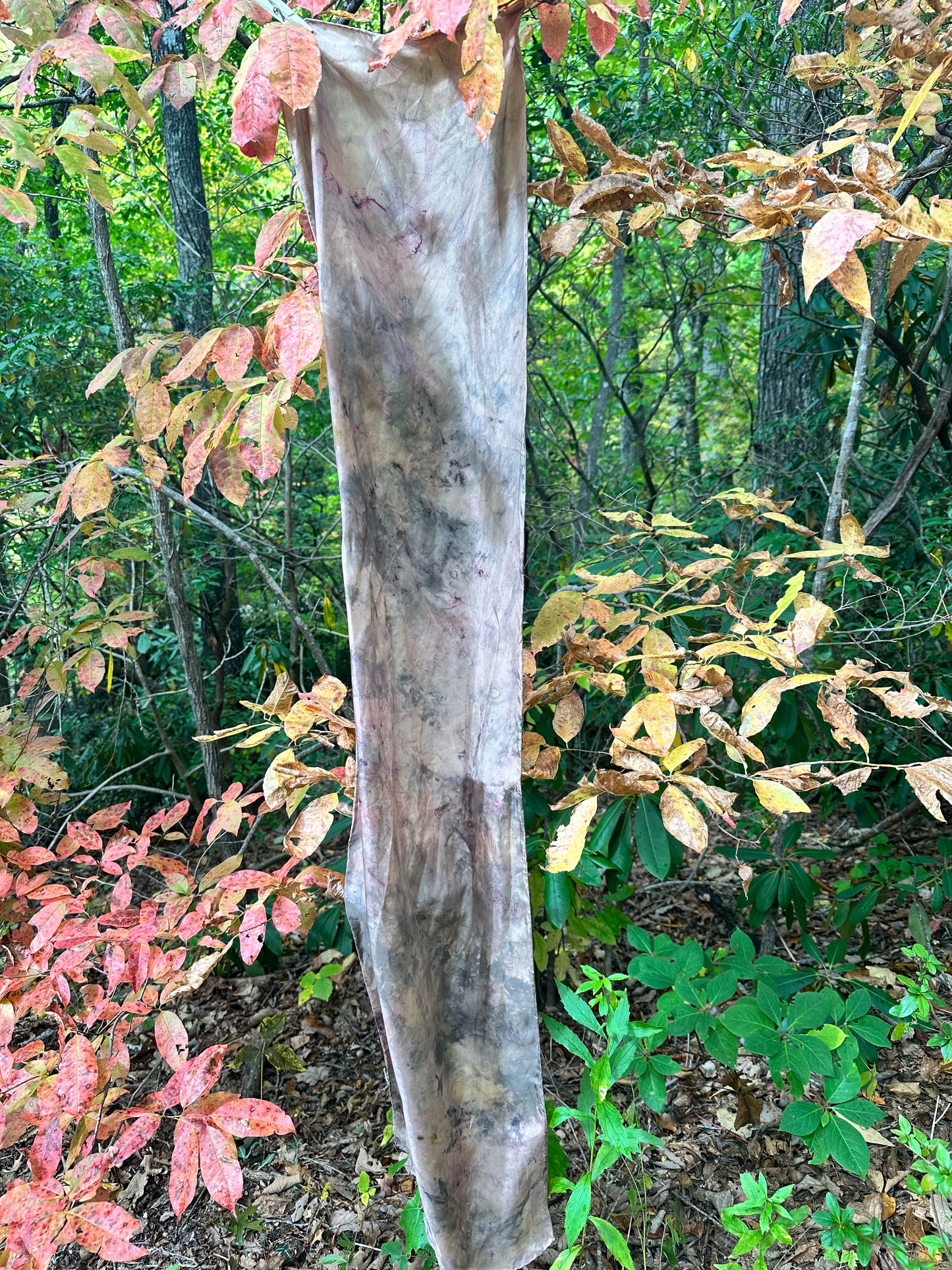 Silk scarf - evolution