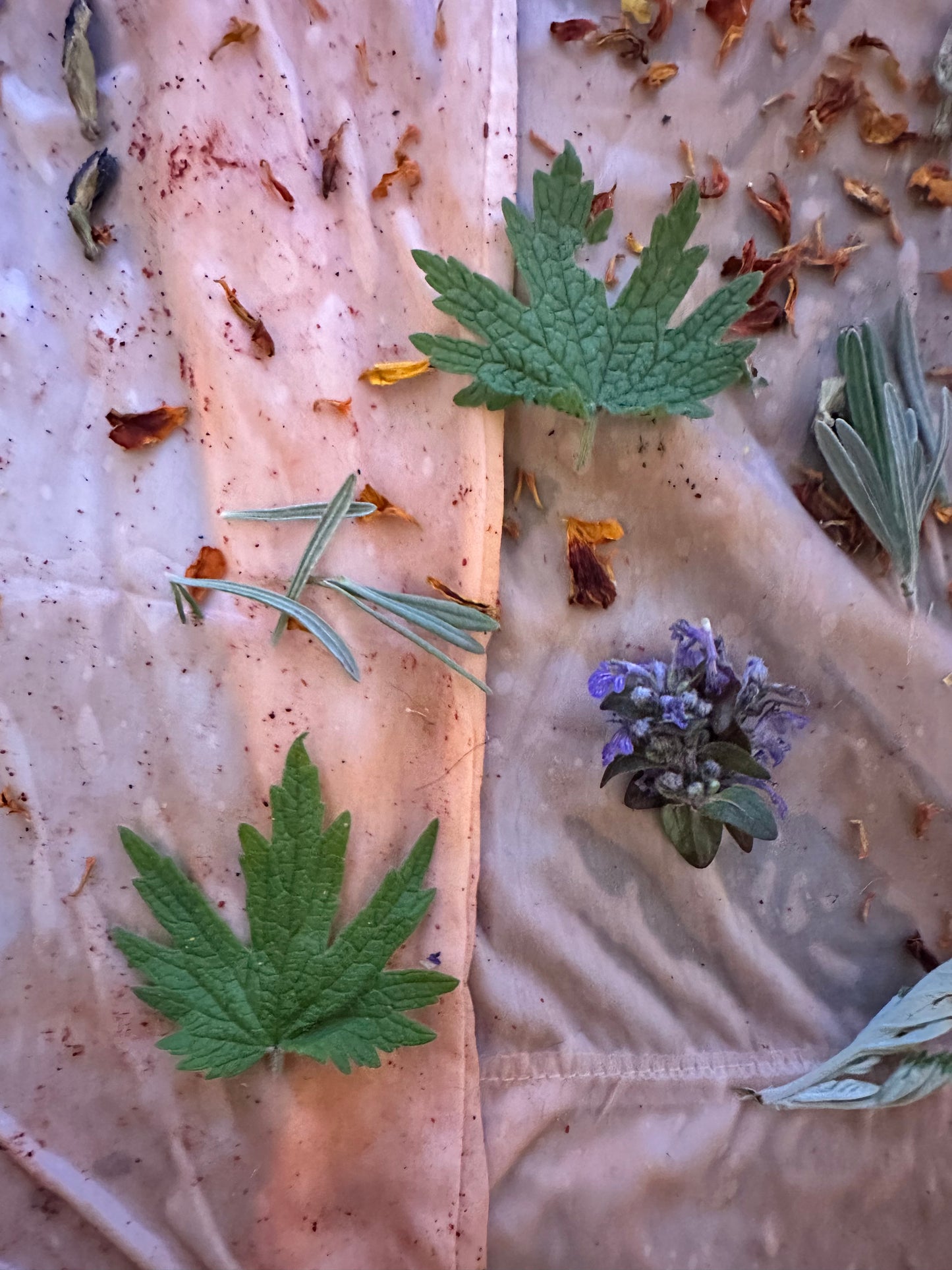 Silk pillow case set