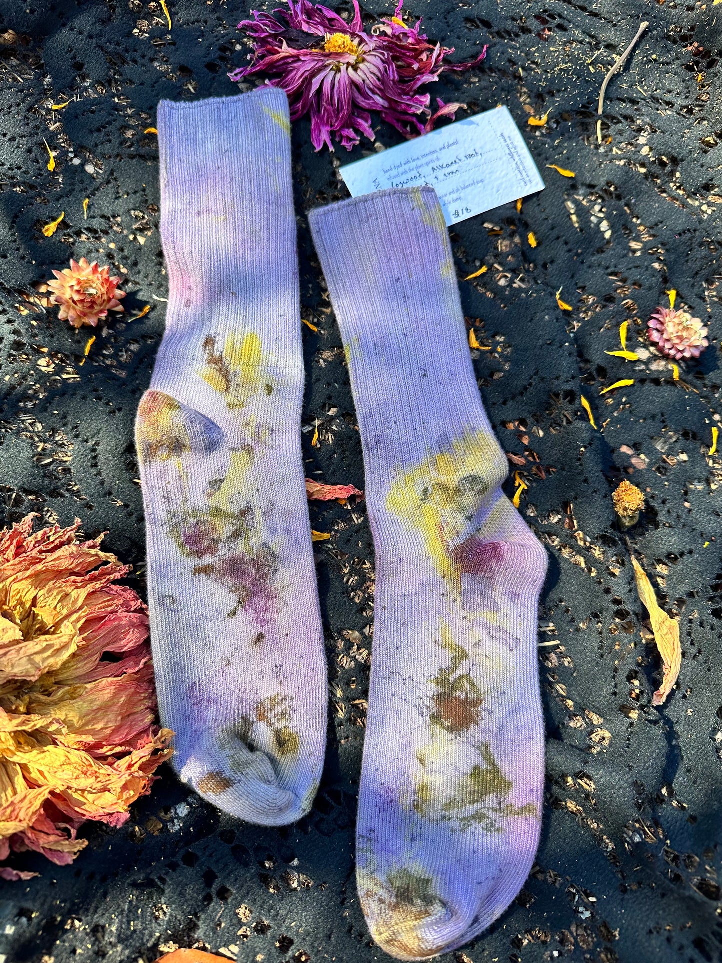 Plant magic socks