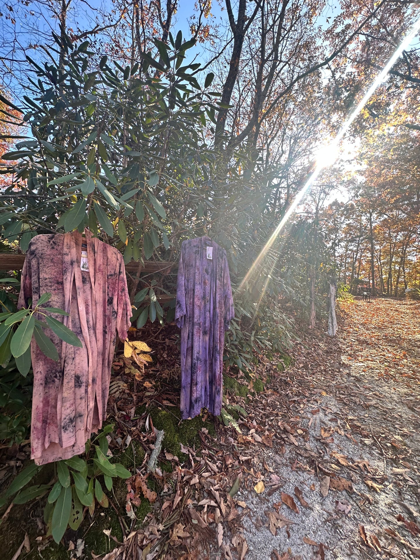 Plant magic robe- pulse of rose