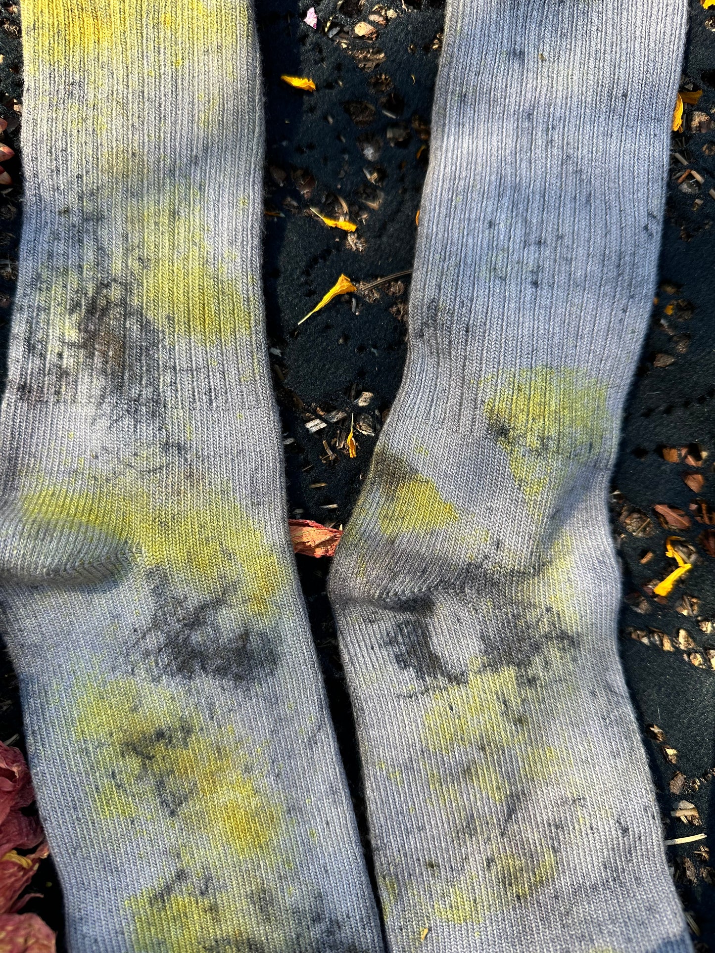 Plant magic socks