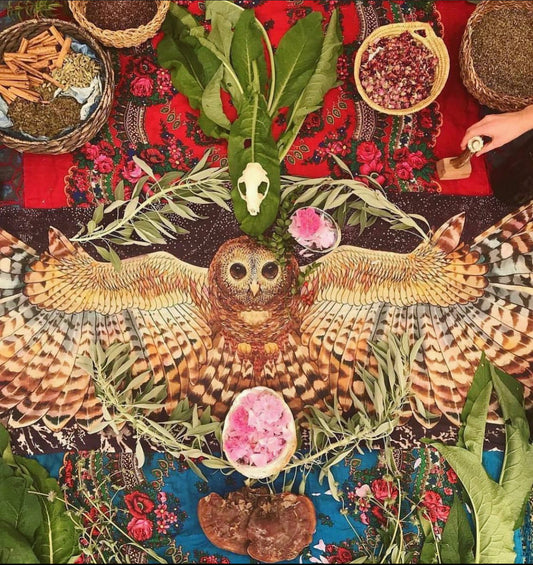 WILD VERBENA GIFT CARD