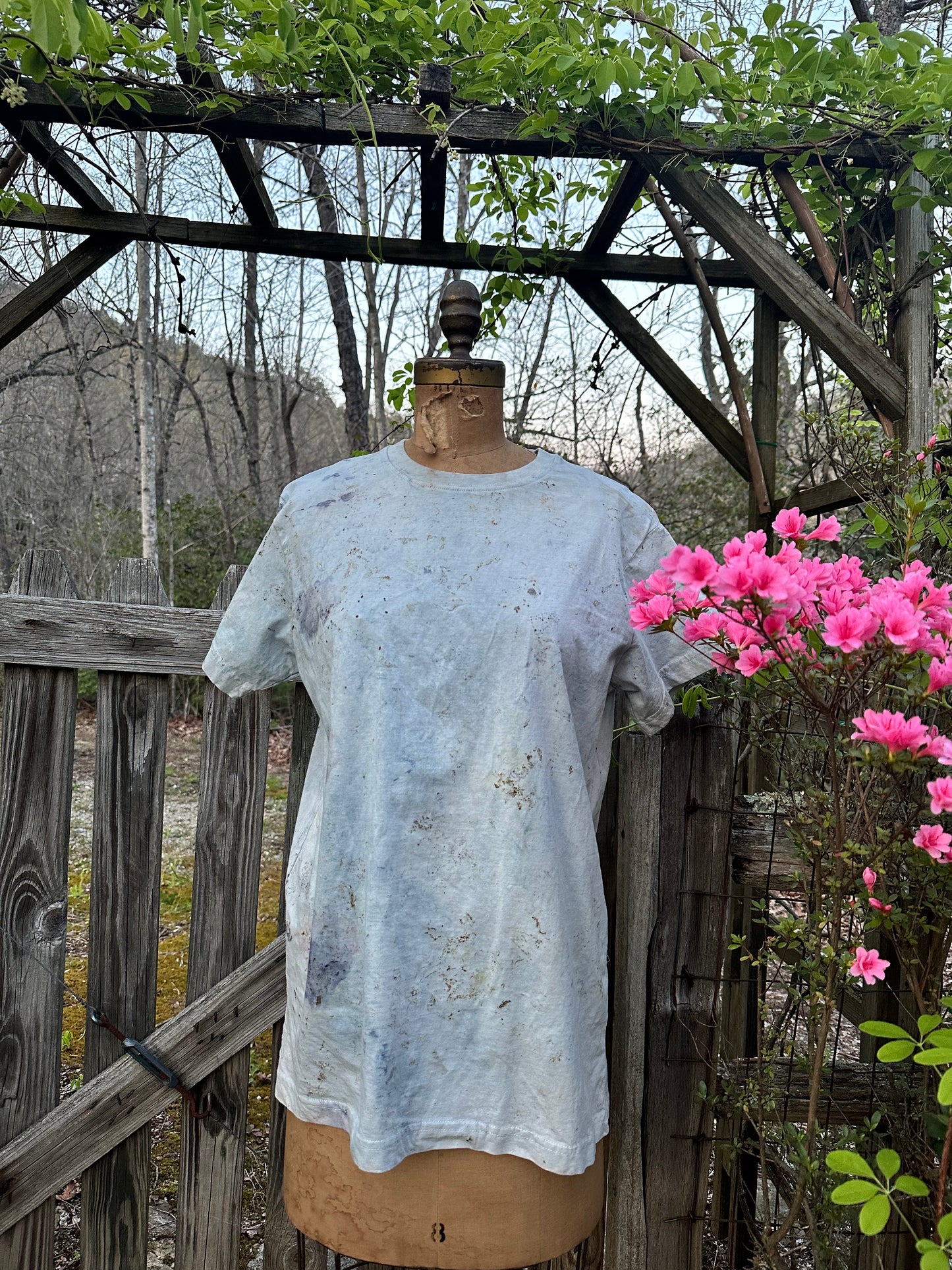 Organic cotton tee- waterfalls