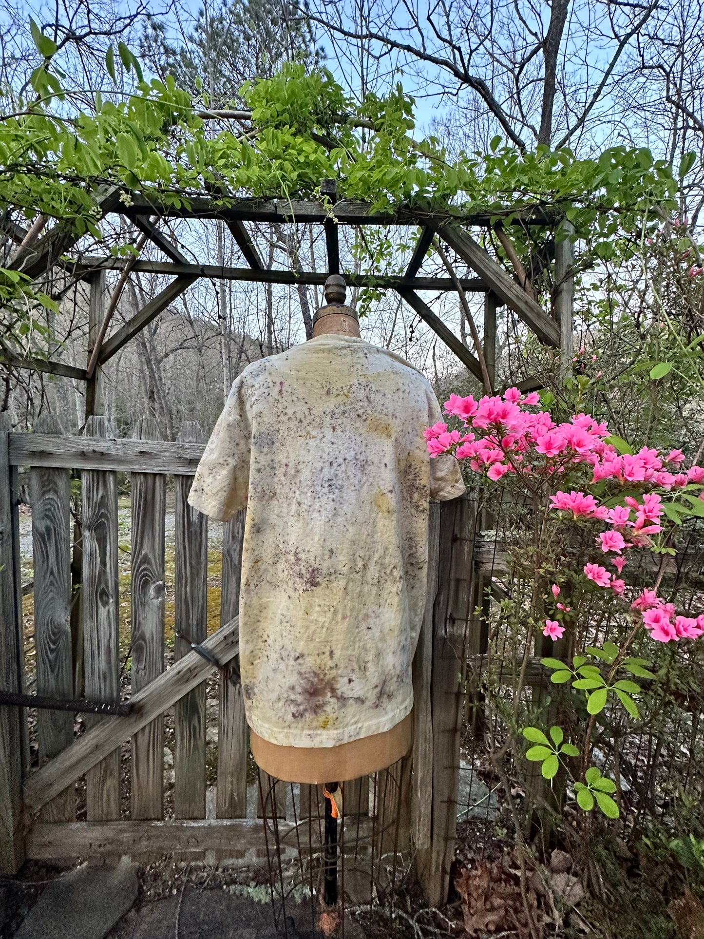 Organic cotton tee- daffodils 🌼