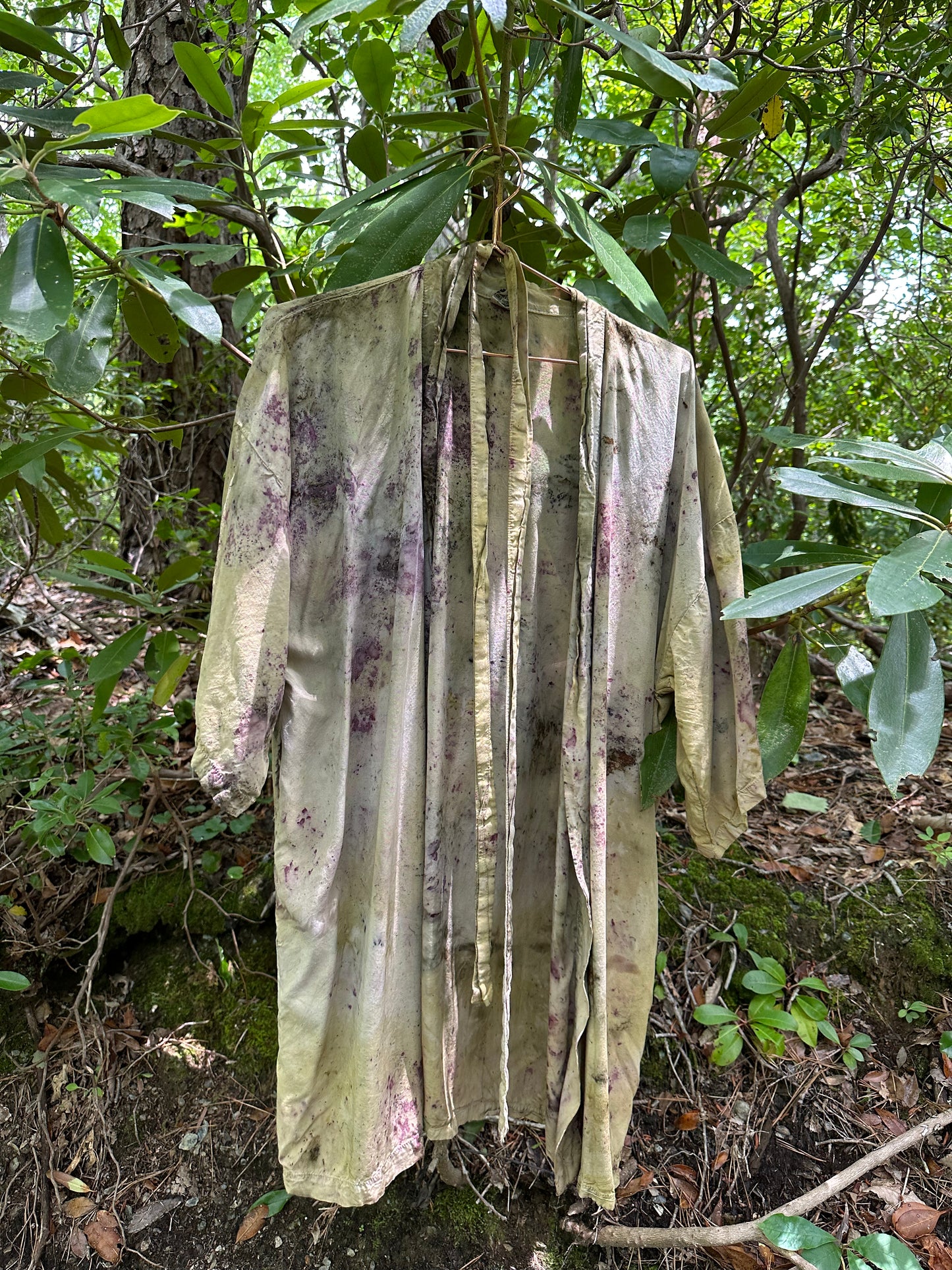 Medicine Robe - Usnea