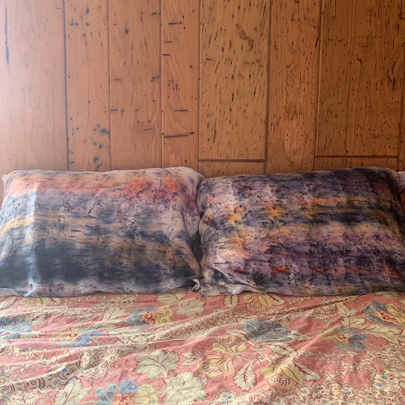 Dream Magick Silk Pillow Set of Two