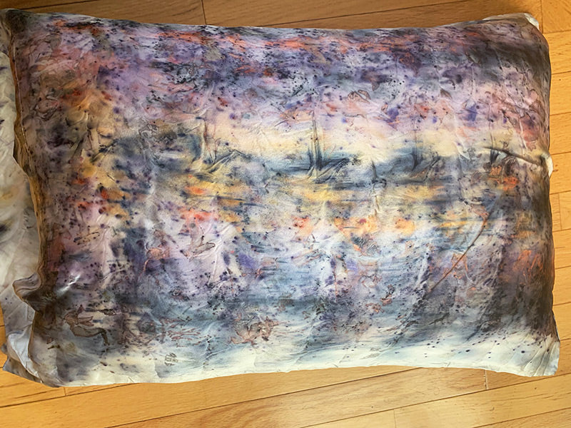 Dream Magick Silk Pillow Set of Two