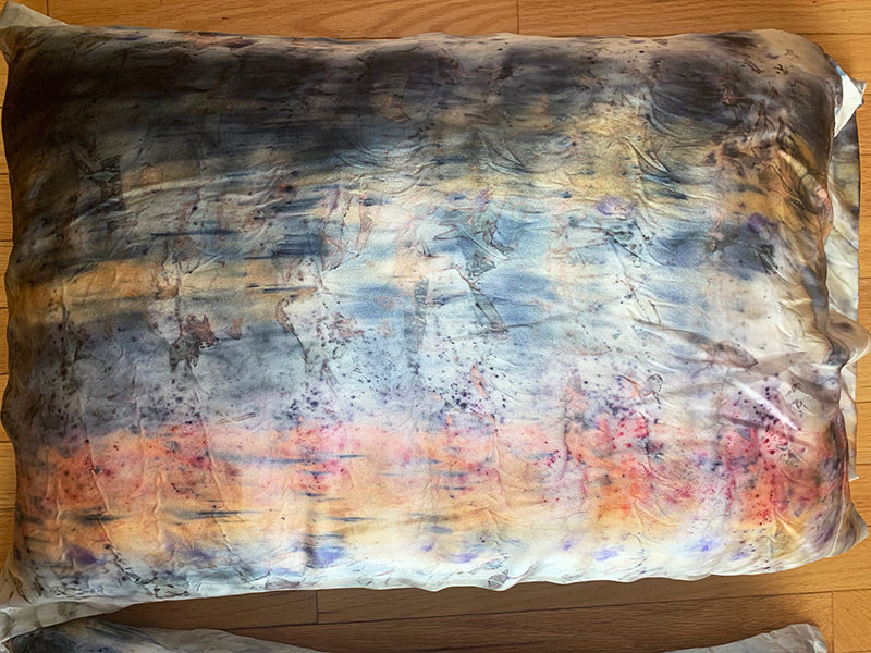 Dream Magick Silk Pillow Set of Two