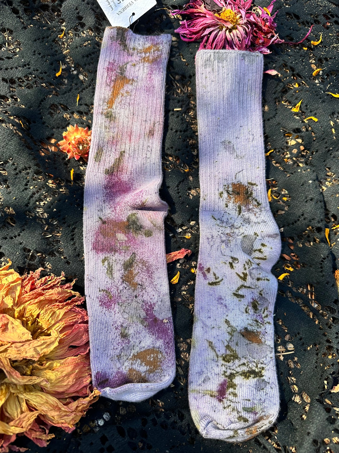 Plant magic socks