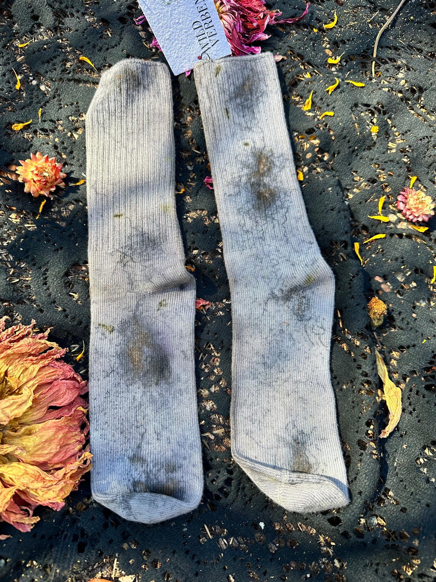 Plant magick socks