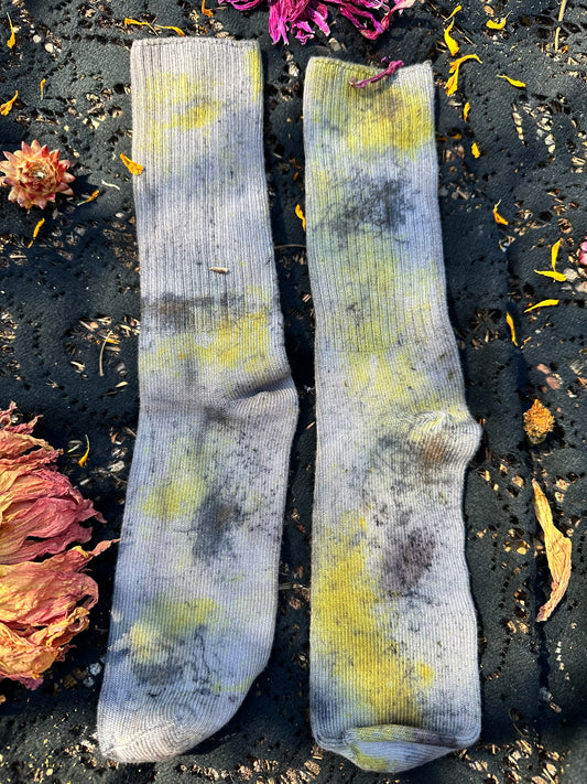Plant magic socks