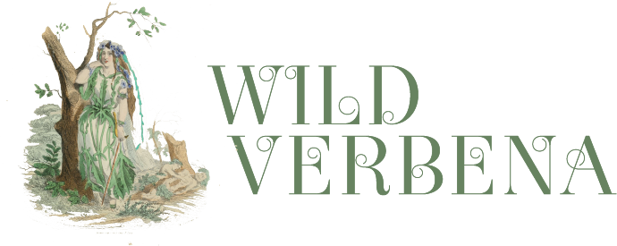 Wild Verbena