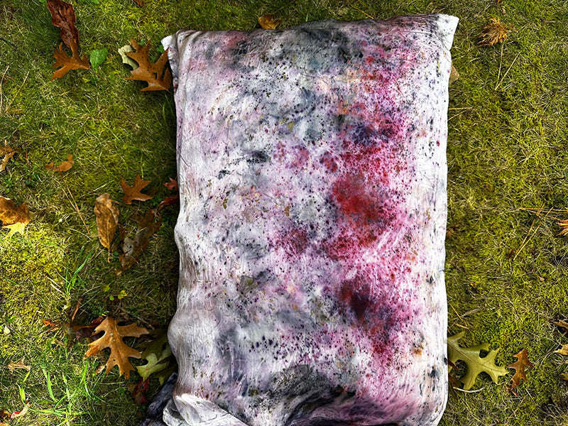 Dream Magic Silk Pillow Case Set