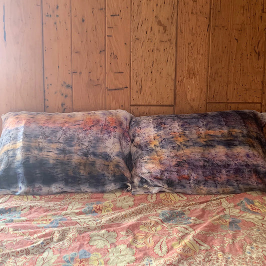 Dream Magick Silk Pillow Set of Two