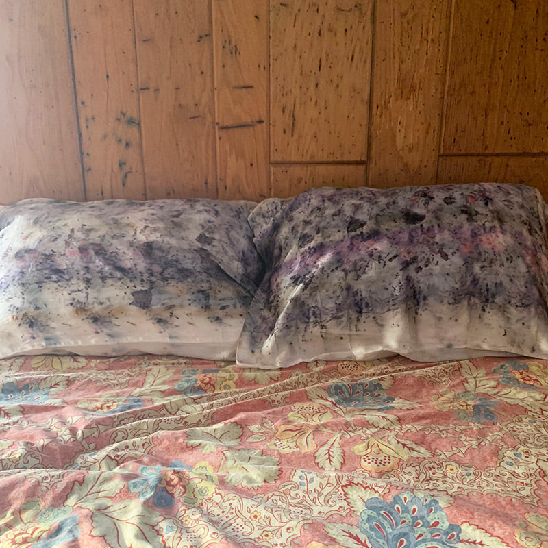 Dream Magick Silk Pillow Case Set of Two